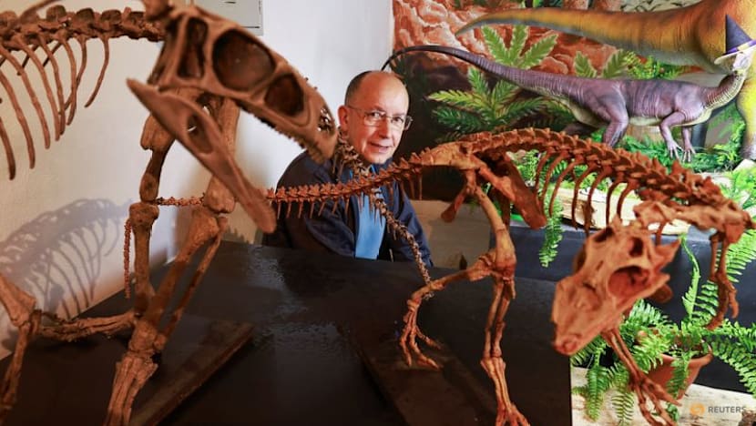 Brazilian physician hails love of paleontology that led to major ancient reptile discovery