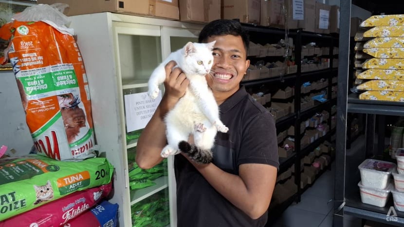 Pahlawan anabul: Demi kucing liar, Ananda menyusuri stasiun dan mendaki gunung 