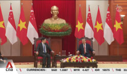 Singapore and Vietnam to strengthen cooperation in food security, smart industrial parks