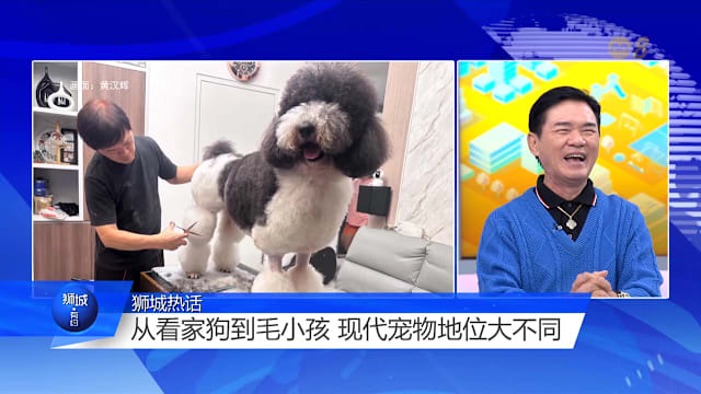 狮城有约 | 把宠物当孩子 但别让这份依恋取代人际关系