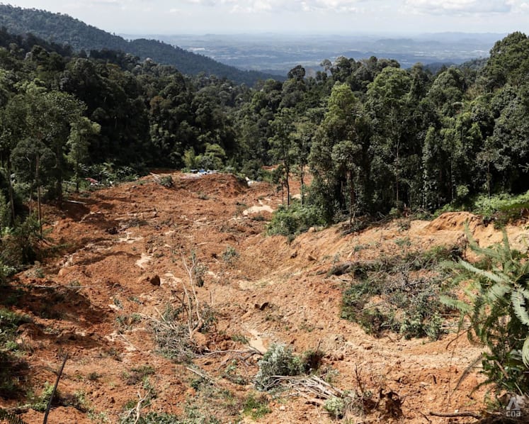 A year after 31 died in landslide near Genting Highlands, wounds remain raw and questions unanswered