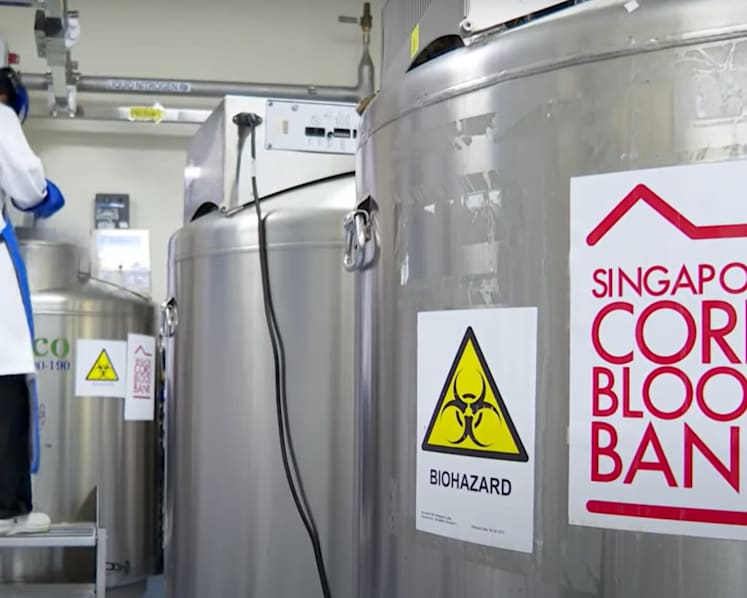 Singapore’s public cord blood bank faces donor shortage despite rise in awareness