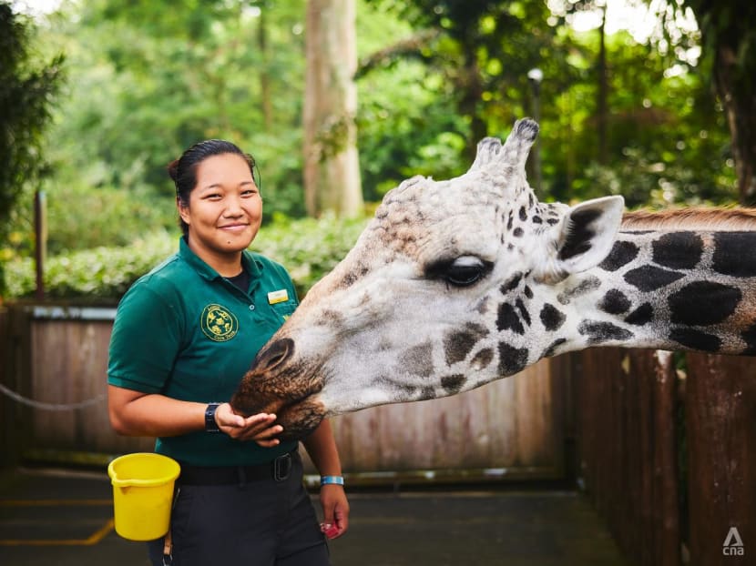 This 25-year-old filmmaking student veered off the beaten track to care for rhinos, giraffes and zebras This 25-year-old filmmaking student veered off the beaten track to care for rhinos, giraffes and zebras