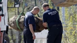 Related article image