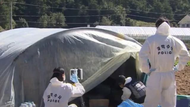 到韩国非法务工 两泰国工人疑吸入有毒气体身亡