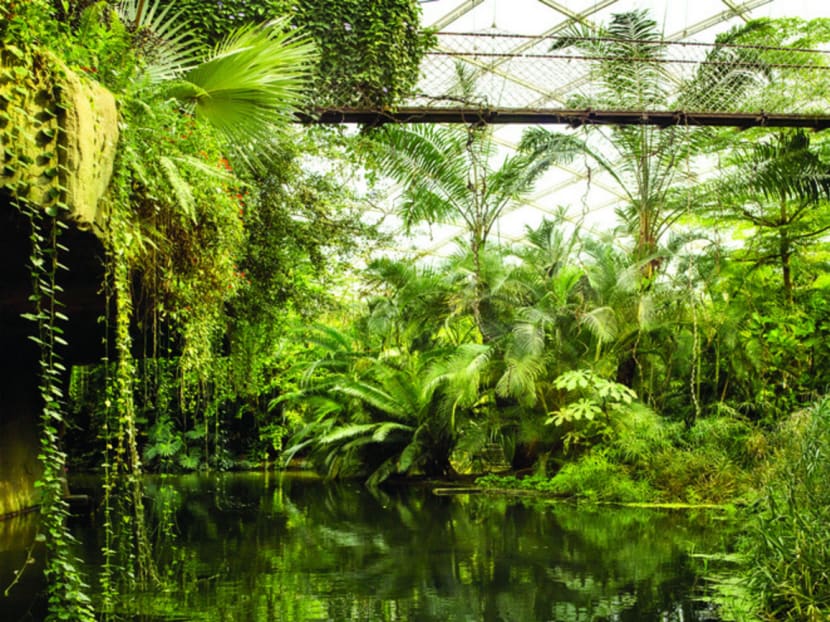 Singapore Art Week 2016: From solo shows to tours