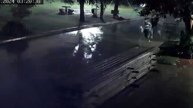 颈戴金链树下避雨被雷劈 阿根廷男子侥幸生还