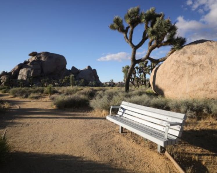 Americans cut back on travel as inflation hits wallets