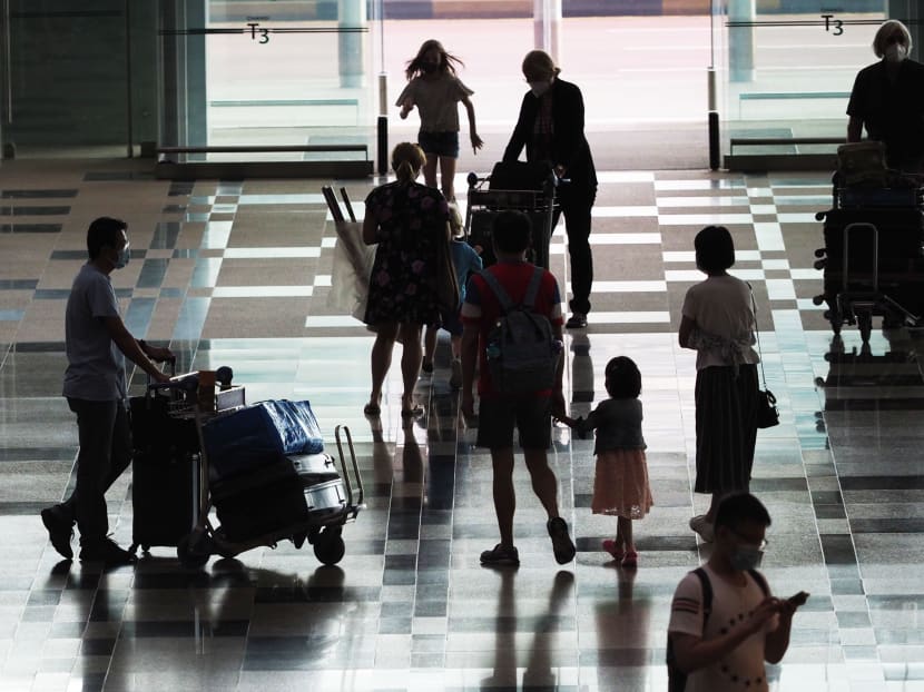 Covid-19: Don’t confuse debate on merits of FTAs such as Ceca with S’pore’s obligations to let in foreigners Covid-19: Don’t confuse debate on merits of FTAs such as Ceca with S’pore’s obligations to let in foreigners