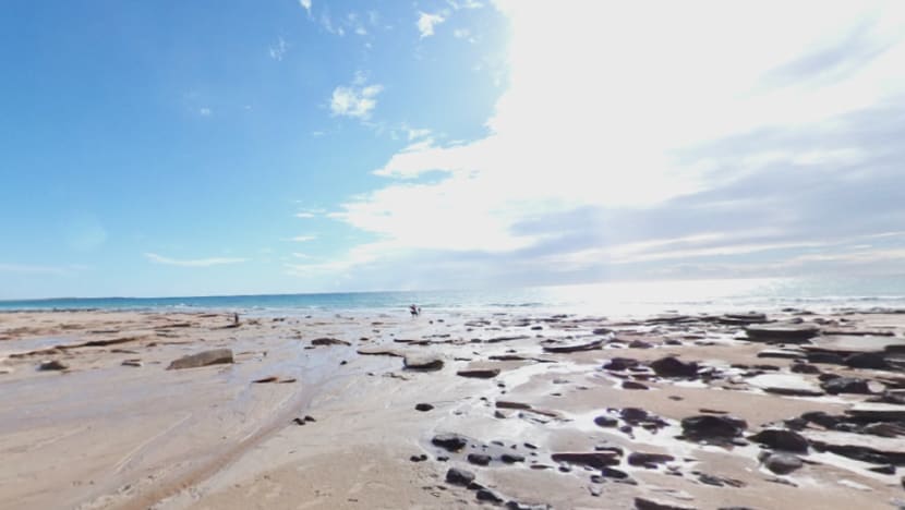 Man dies in shark attack in Western Australia
