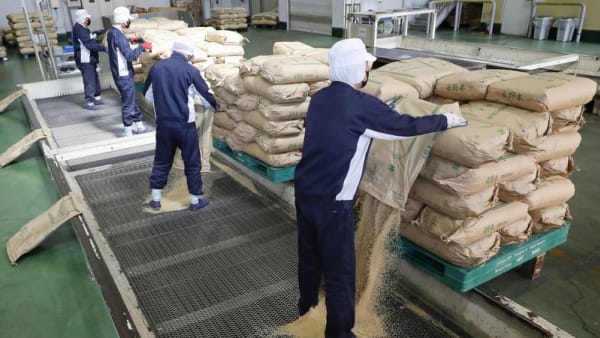 Japan supermarket rice prices fall for first time in 18 weeks - Channel News Asia (Picture 2)