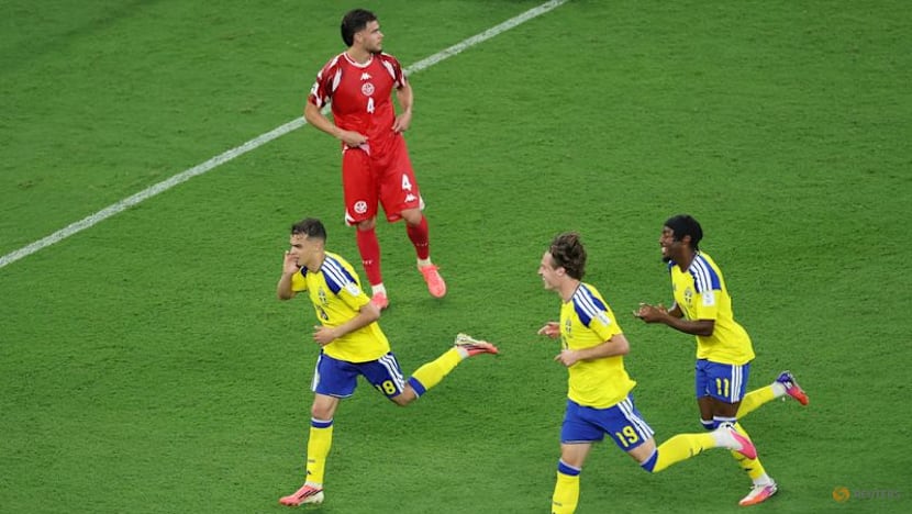 Emotional rollercoaster for Swede Ayari after wonder goals against father's Tunisia
