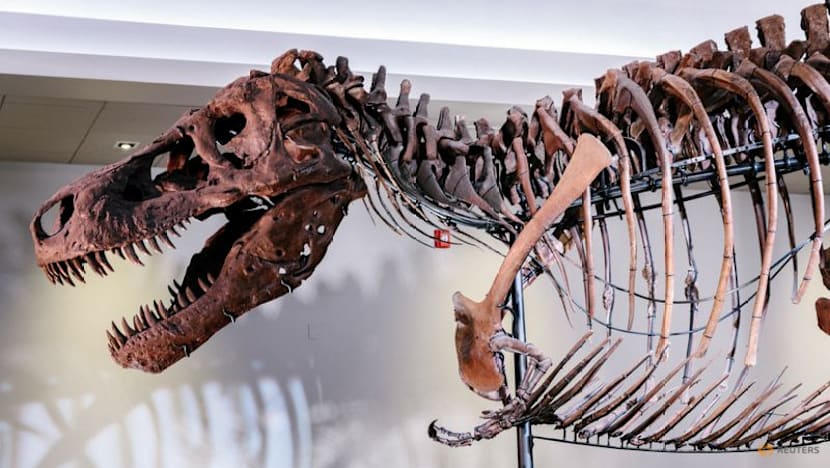Here's how Tyrannosaurus ended up with a big head and small arms