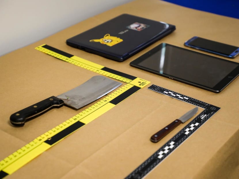 Items seized by the police belonging to a 20-year-old man holding a chopper in the Margaret Drive vicinity on Feb 3, 2024.