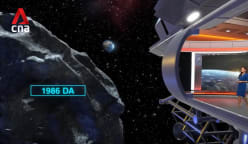 Asteroids may hold trillions in untapped metal wealth 