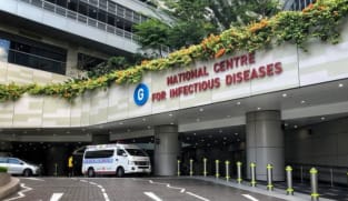 Two Singapore residents who were on board hantavirus-hit cruise ship test negative: CDA