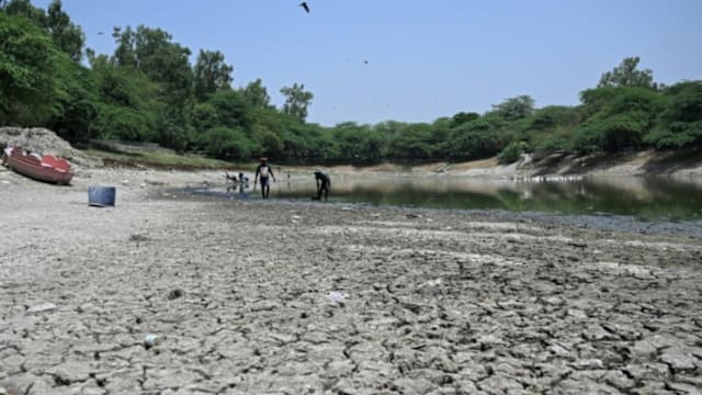 NOAA：厄尔尼诺现象预计年底前将增强 达历来最强