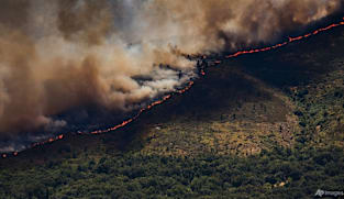 Spain declares national emergency over wildfires near Madrid and in Avila