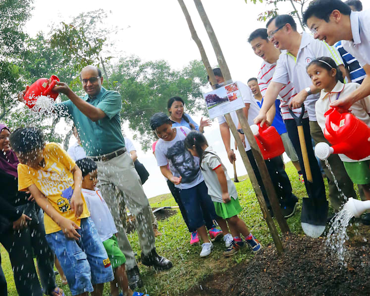 Nature to the  fore at Jurong Lake Gardens