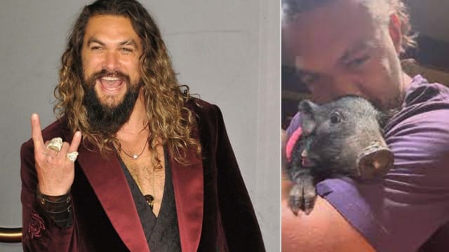 “Aquaman”男星Jason Momoa养宠物猪　想为其取名“叉烧包”