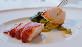 An invitation to experience culinary mastery at Michelin-starred restaurants and more