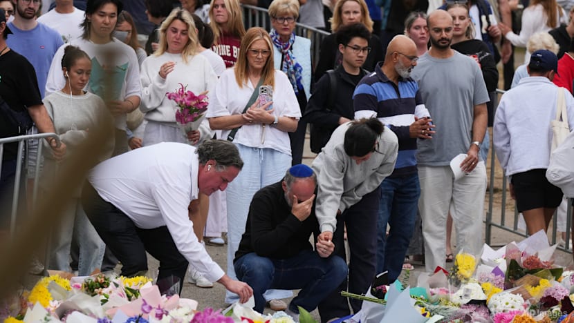 Internet-fuelled extremism behind rise in 'lone wolf' terrorism, experts say after Bondi shooting