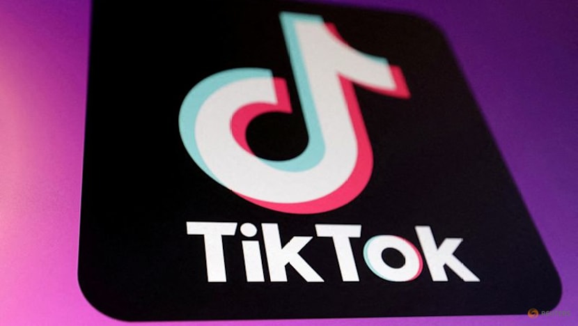 TikTok extremely cooperative with EU's probe on Romania election, Commission spokesperson says
