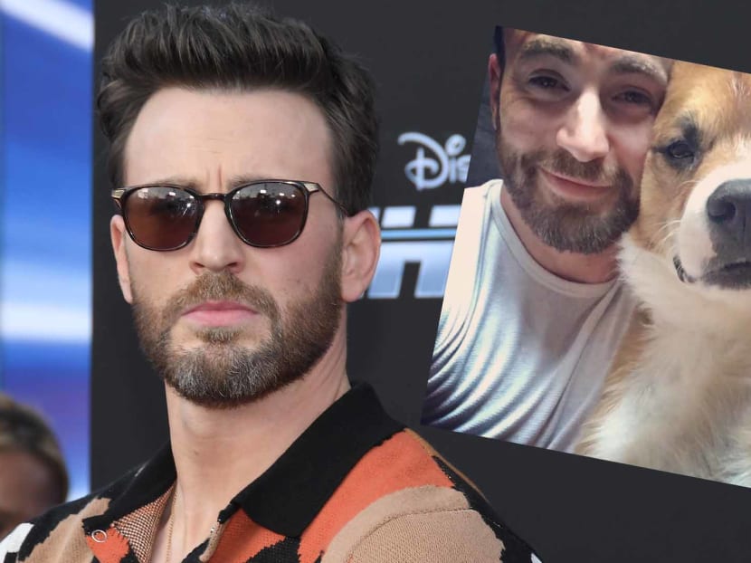 Chris Evans Says Adopting Dog Dodger The "Best Decision" Of His Life, Urges People To Rescue Older Pups