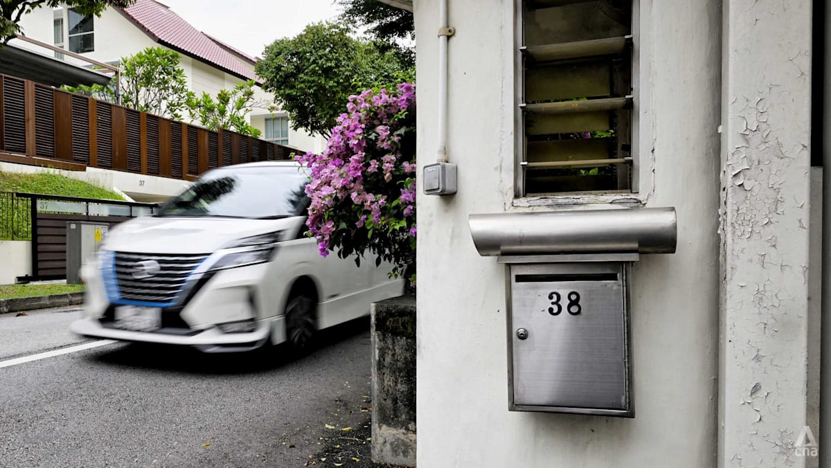 Preserving 38 Oxley Road site not about memorialising any single leader: David Neo