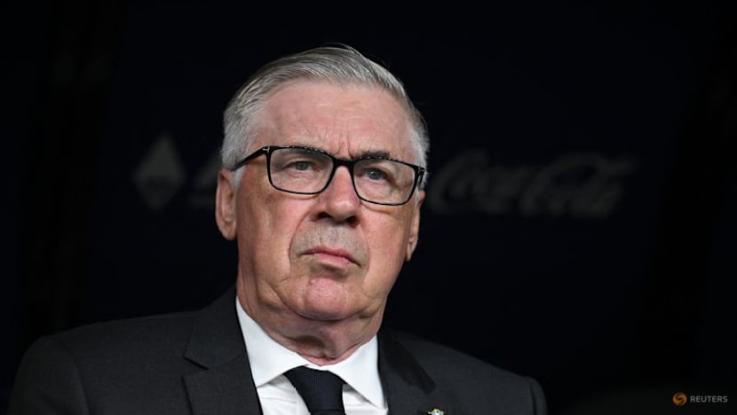 Norway's Solbakken praises Ancelotti ahead of Brazil World Cup clash