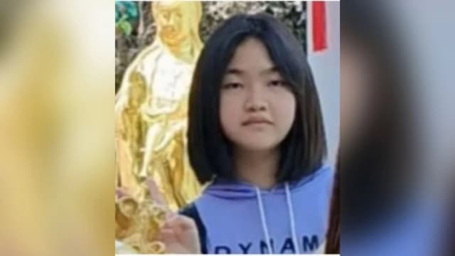 新山14岁少女乘电召车离家出走  父母求助社媒寻人