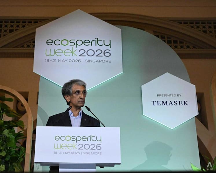 Temasek 'unlikely' to meet 2030 climate target amid tougher global landscape: CEO Dilhan Pillay