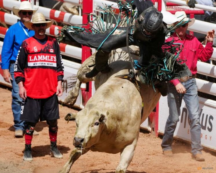 Big Tech joins Calgary Stampede oil bash, as Canada courts data centers