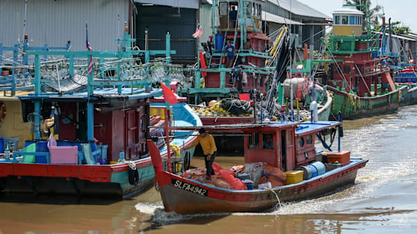 IN FOCUS: Falling fish catch in Malaysia spells trouble for industry,  region; highlights need for sustainable practices - CNA