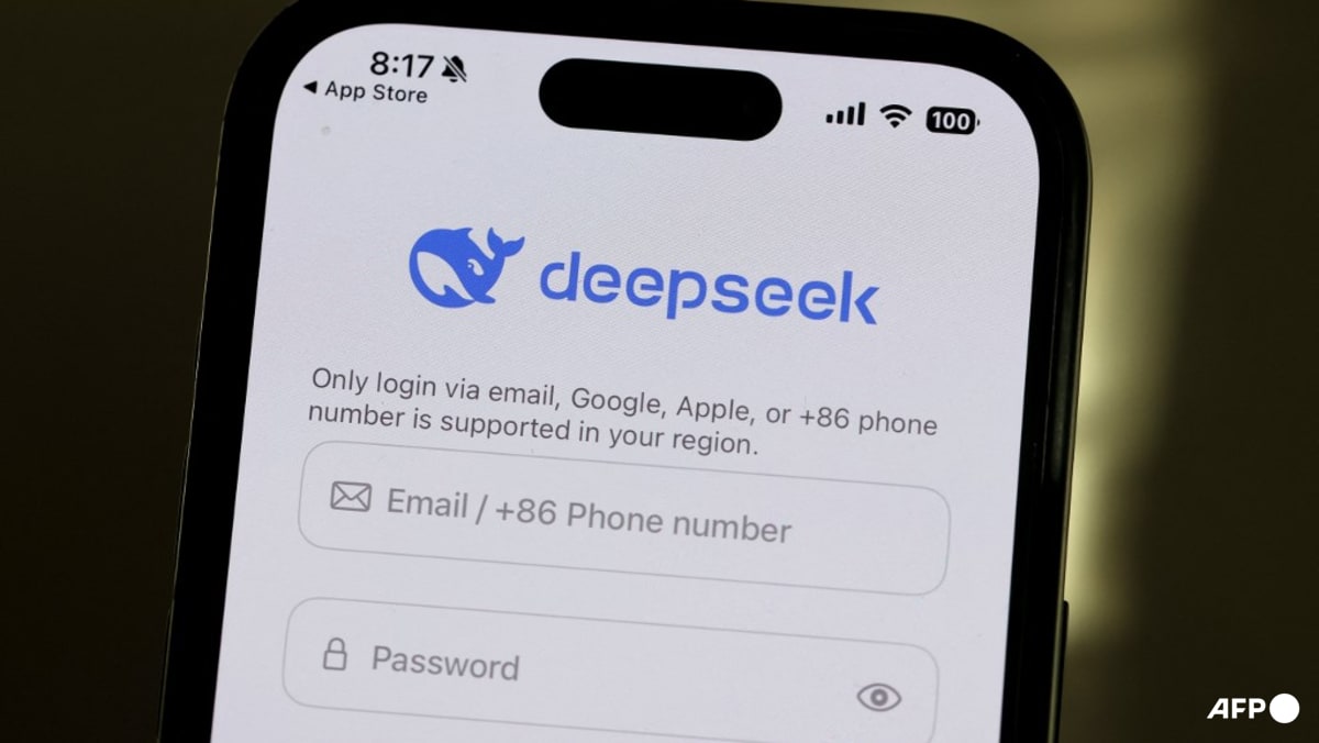 What is DeepSeek and why is it disrupting the AI sector? - CNA
