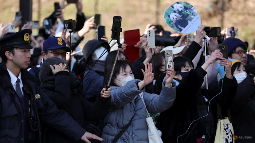 Japan's beloved last pandas leave for China as ties fray