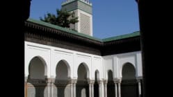 Related article image