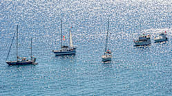 Related article image