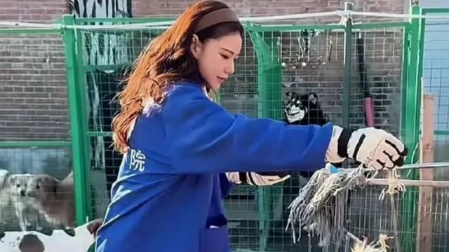 喂流浪狗不慎遭咬伤，汪小菲爱妻打5针坚持直播！