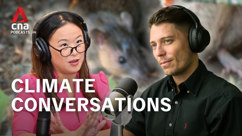 Climate Conversations - Urban invaders - how global warming fuels the rat boom
