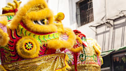 Related article image