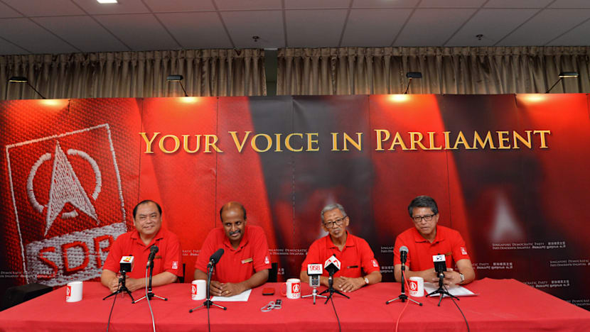 SDP introduces lecturer, ex-civil servant as candidates