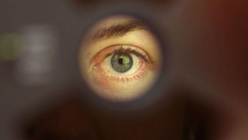 Collection of iris scans to begin Jan 1 at ICA, SingPost outlets