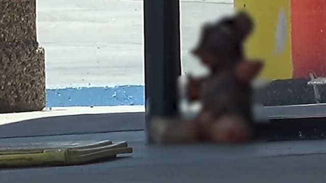 美国街头惊现“人皮”泰迪熊 惊动警方和验尸官到场调查