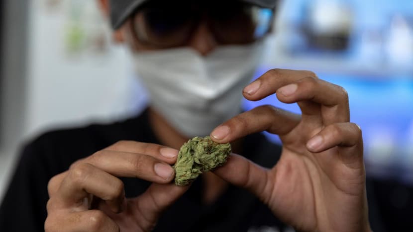 71% more cannabis users arrested in 2022, over half aged under 30 and some just 14: CNB 71% more cannabis users arrested in 2022, over half aged under 30 and some just 14: CNB