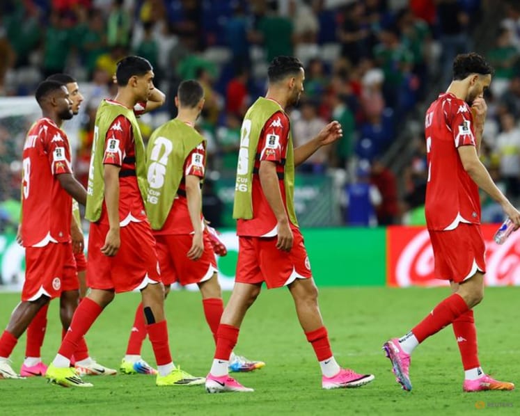 Elite Swedish strike force delivers Tunisian defence a reality check