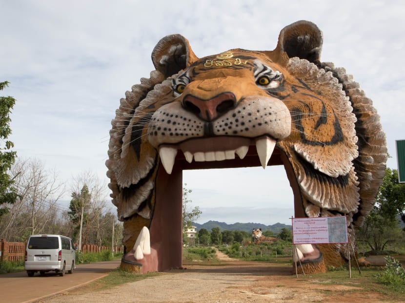 Thai temple denies abbot involved in trafficking of tigers