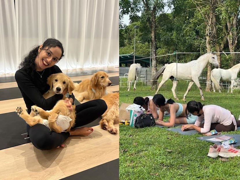 Puppies, ponies and Pilates: I tried some of Singapore’s most unconventional fitness classes Puppies, ponies and Pilates: I tried some of Singapore’s most unconventional fitness classes
