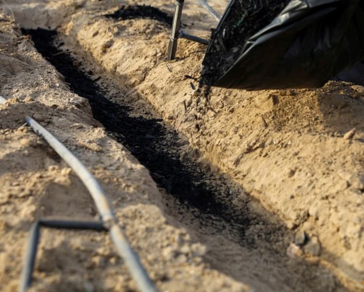 Big Tech-led demand for carbon removal credits fuels supply crunch