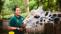 Related article image